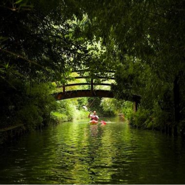 Découverte en Canoë-Kayak à Champigny