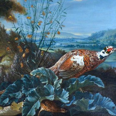 Les animaux du domaine de Grosbois : trésors d’histoire