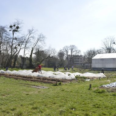 Agriculture, écologie, alimentation : nos ateliers pédagogiques !