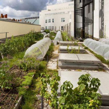 Visite de la ferme urbaine de l’Opéra Bastille