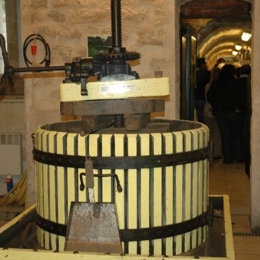 Visite guidée des vignes et cave de Sucy-en-Brie