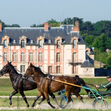 Visite du Château de Grosbois suivie d’un déjeuner à l’hippodrome de Vincennes