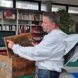 Visite gudiée un rucher au musée un rucher en or