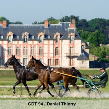 Visite guidée du Centre d’entrainement des chevaux trotteurs – Domaine de Grosbois