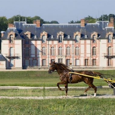 Circuit journée : Chevaux Trotteurs : de l’entrainement aux courses