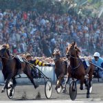 Visite guidée de l’Hippodrome de Vincennes