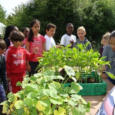 Jardin collectif agro-écologique