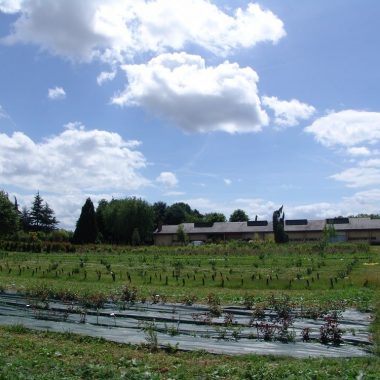 Visite guidée de la Pépinière du Val-de-Marne