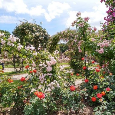 Circuit journée : Parcours Floral dans le Val-de-Marne (Pique-nique)