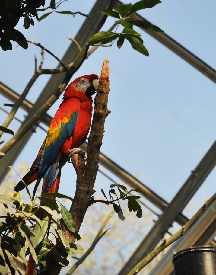 Fréquentation des sites et évènements 2017