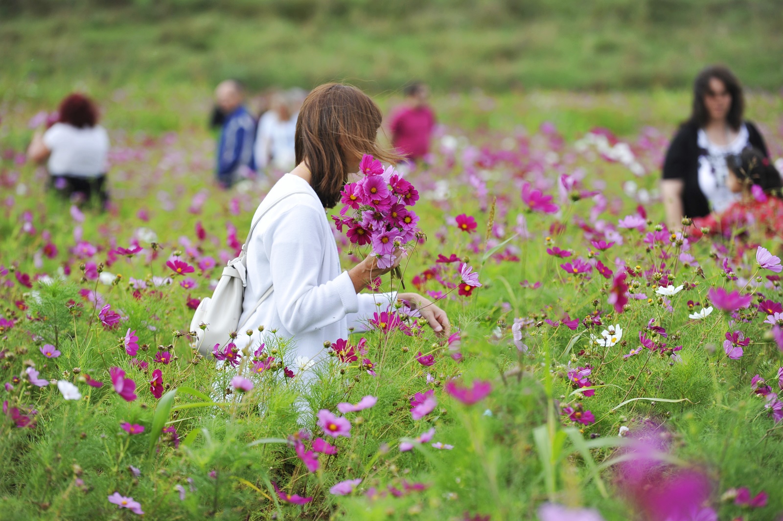 Bilan des Journées du patrimoine 2017