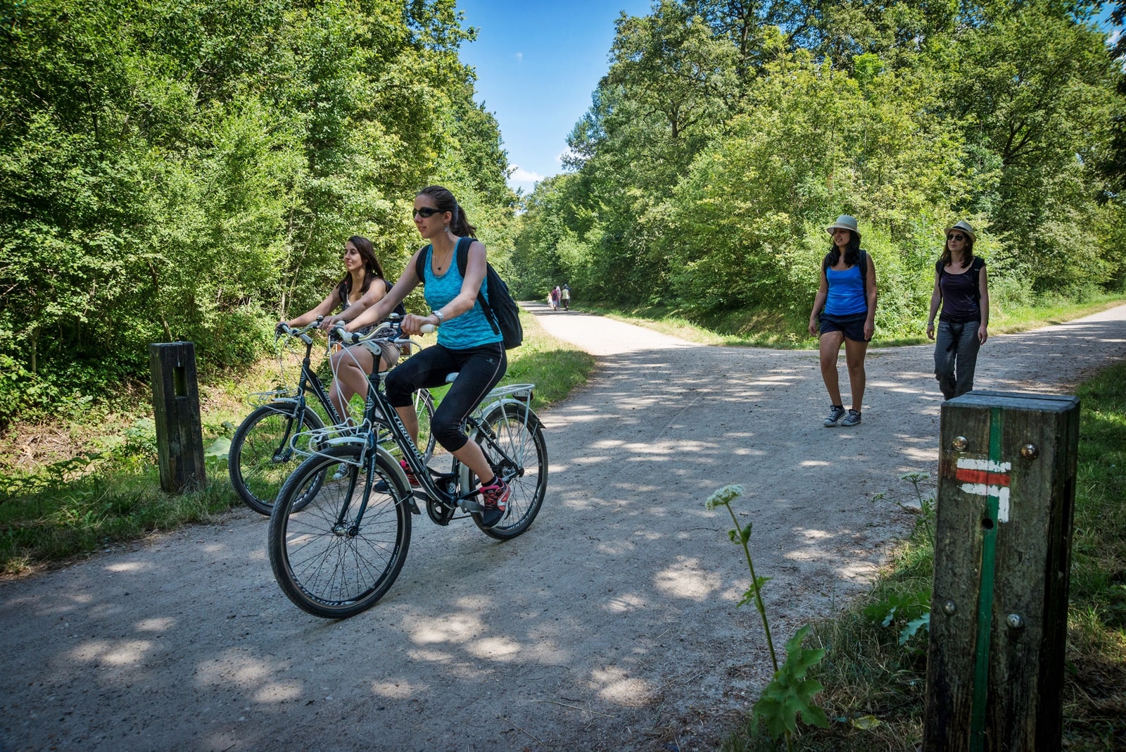 Archives des actualités