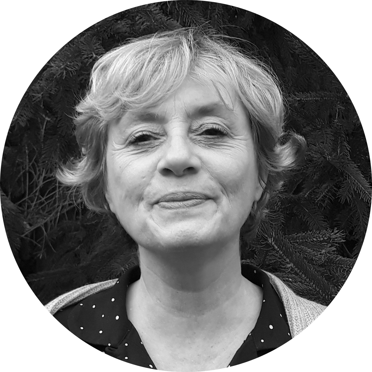 Anne hofman equipe cdt