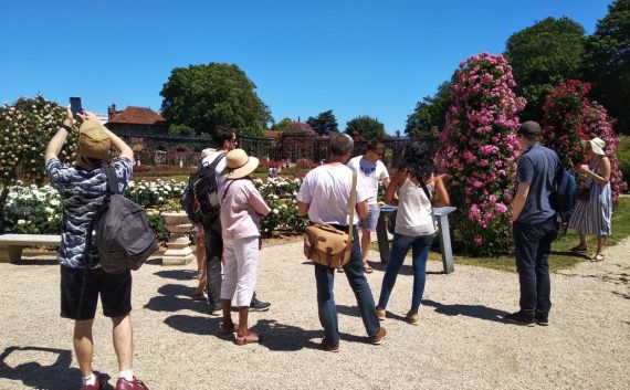 roseraie val de Marne