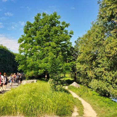 Cap sur la Marne : La Grande Aventure, les 8 et 9 juin