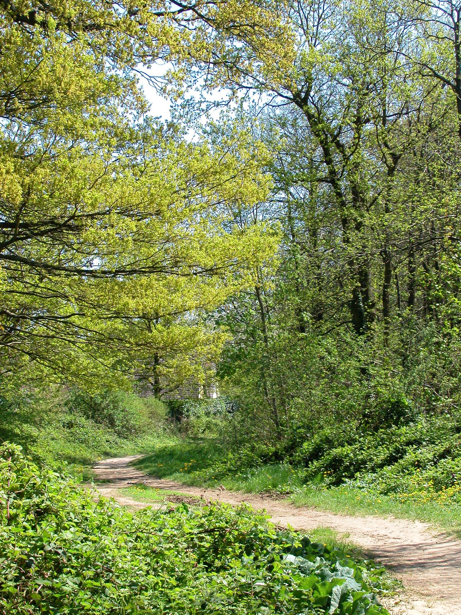 Un projet de territoire