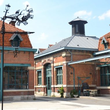 Messages et informations utiles à l’attention des professionnels – Covid-19 Coronavirus