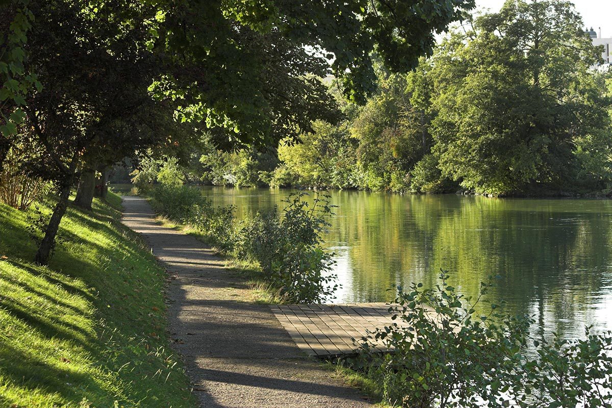 bords de Marne chemin