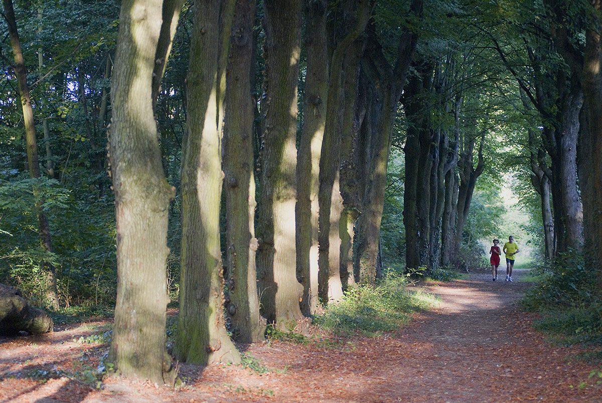 footing course a pied bois de vincennes