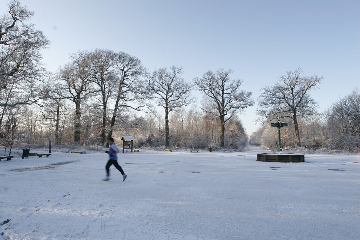 courir foret notre dame boissy saint leger