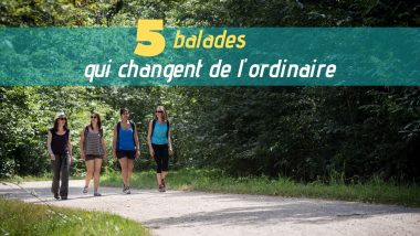 5 balades originales en Val-de-Marne