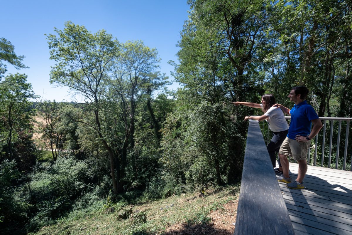Sur la Tégéval à Villecresnes