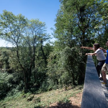 Sur la Tégéval à Villecresnes