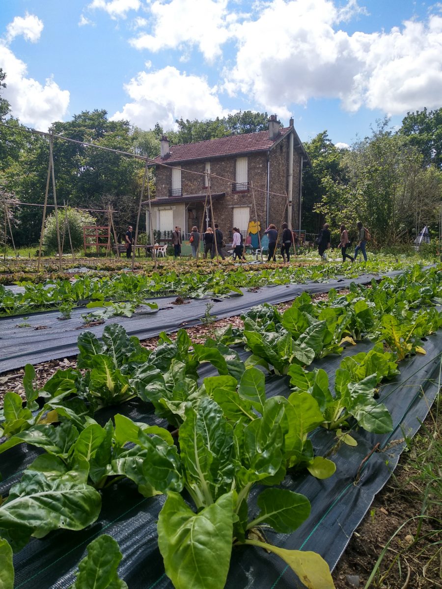 Visite de V’île fertile