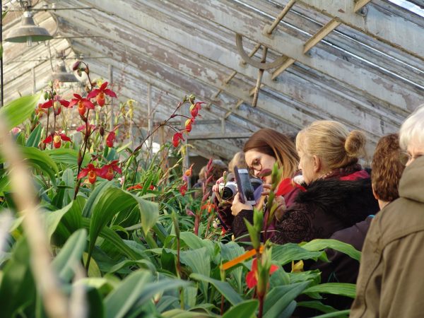 Les serres d'orchidées Vacherot & Lecoufle