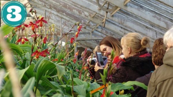 Visites-entreprise-768×432