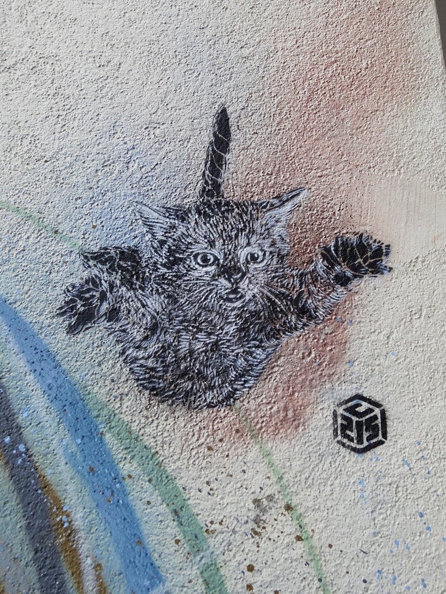 oeuvre street art c215 vitry sur seine 94