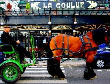 PROMENADE EN CALECHE : GREEN HORSE