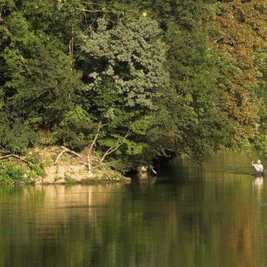 RÉSERVE NATURELLE DÉPARTEMENTALE DES ILES DE LA MARNE
