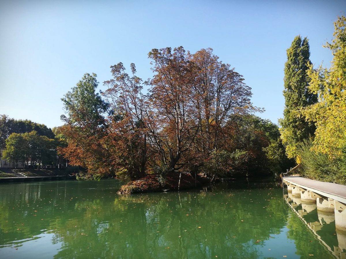 bord marne champigny sur marne