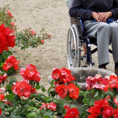 fauteuil roulant handicap roseraie val de marne