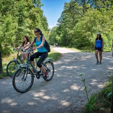 randonnee velo foret notre dame