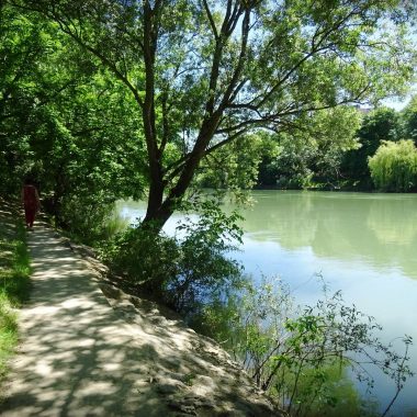 sentier bord marne