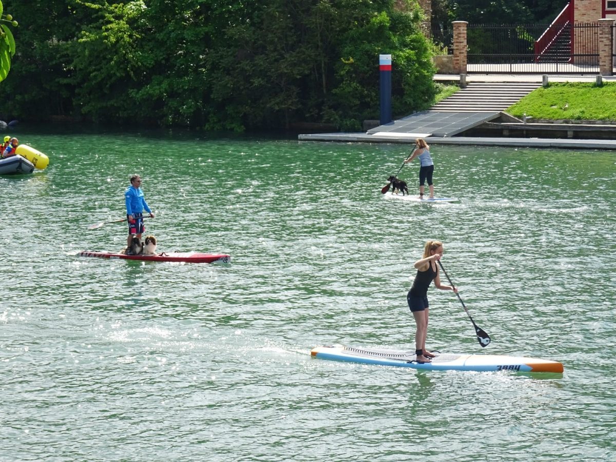 stand up paddle joinville le pont