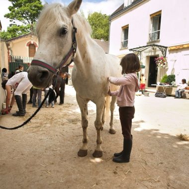 ecuries conde saint maur cheval enfant