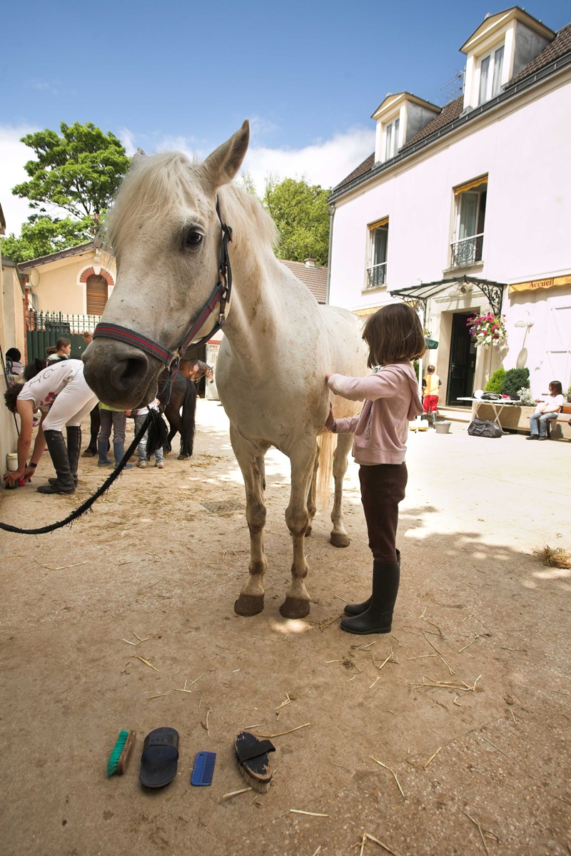 Centres   questres Val Marne  94  proche Paris Val Marne Tourisme