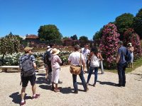 Retour sur notre Instameet à la Roseraie du Val-de-Marne