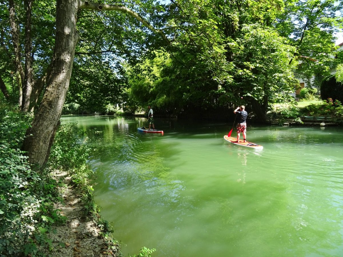 stand up paddle bras chapitre