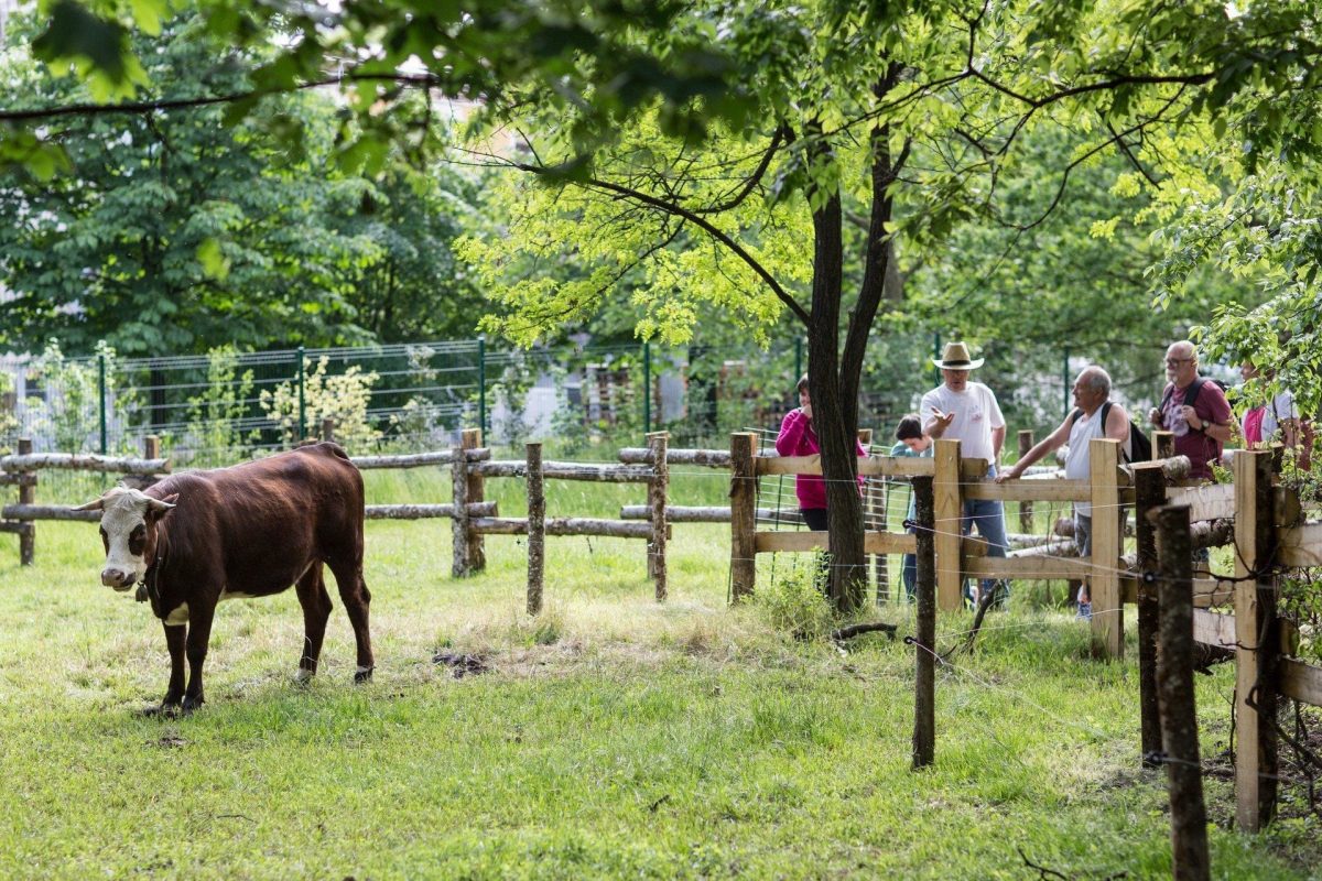 ferme pedagogique maisons alfort