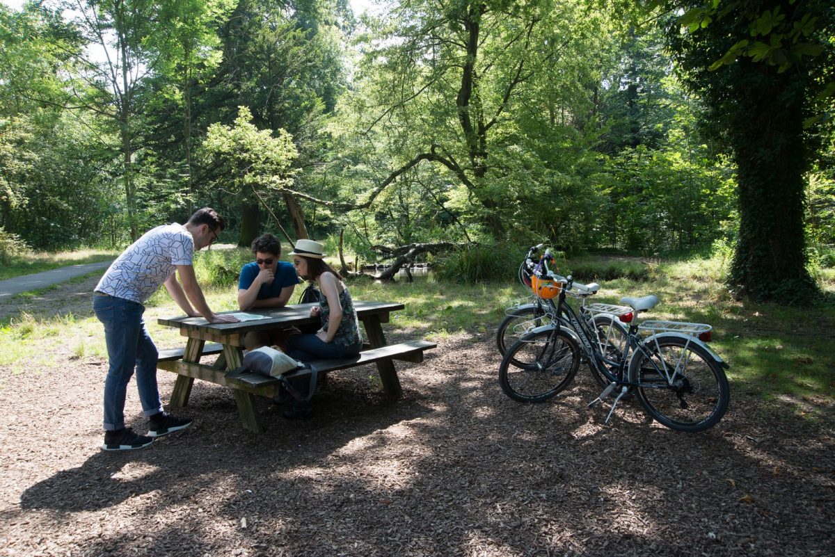 Randonnées dans le Bois de Vincennes