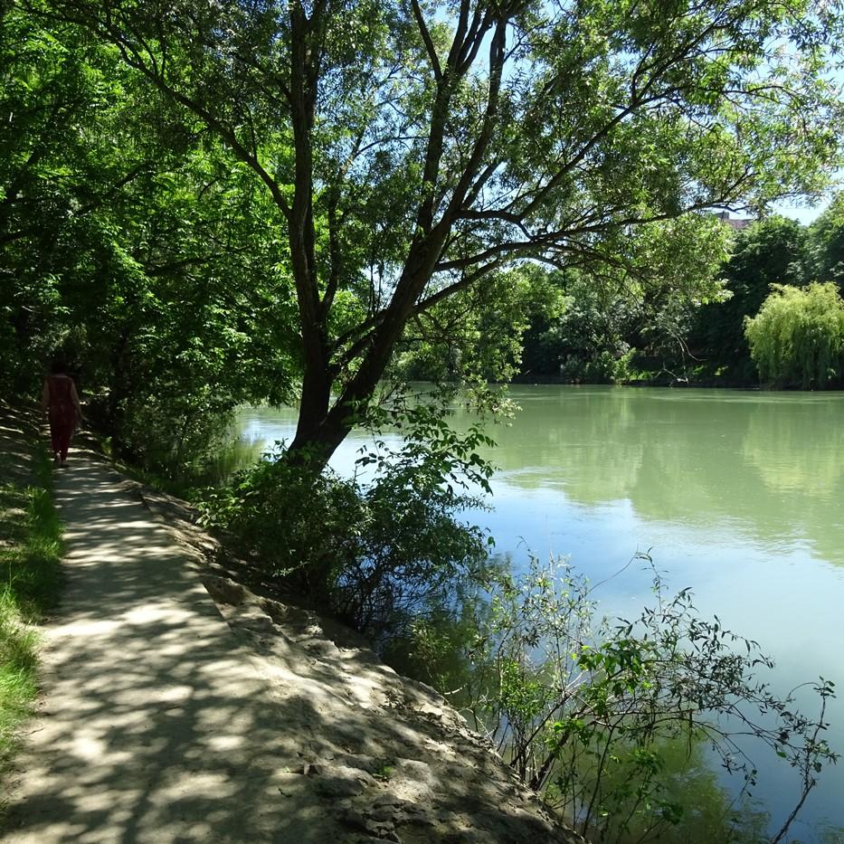 Berges de la Marne