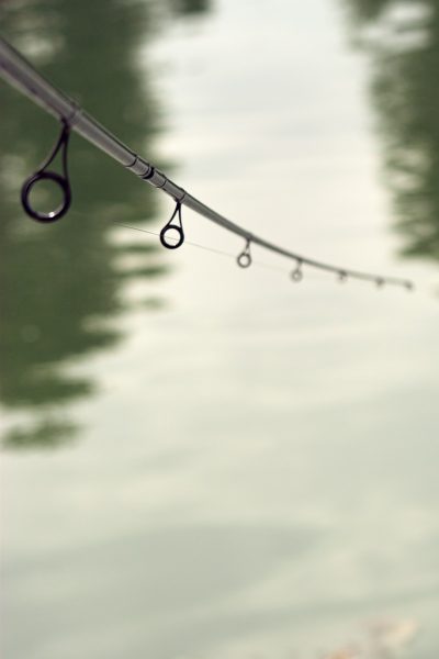 canne a peche val de marne