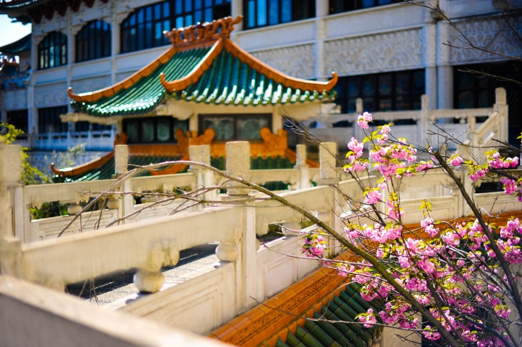 Chinagora à Alfortville