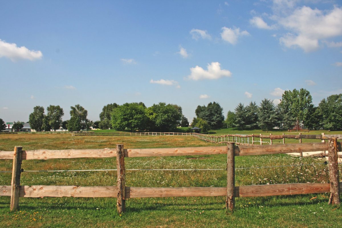 Le parc de la plaine des Bordes à Chennevières-sur-Marne