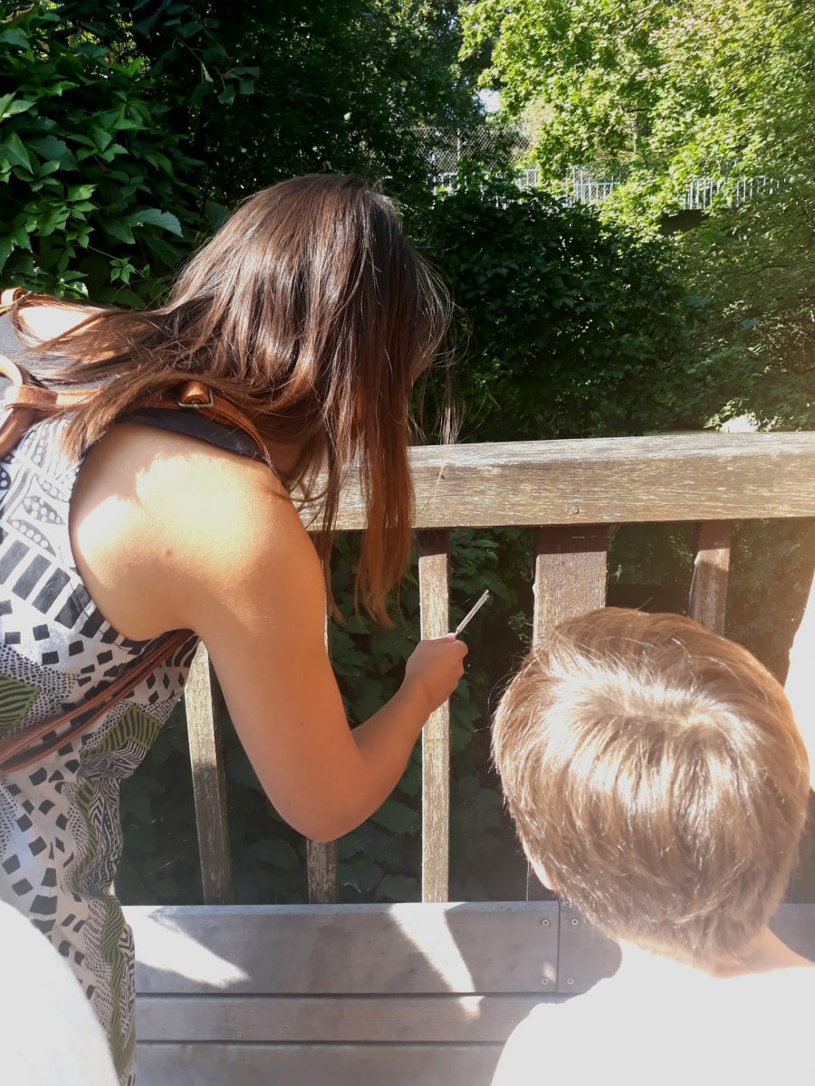 Diapason et araignées sur les Bords de Marne