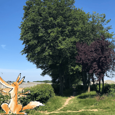 JEU DE PISTE NUMÉRIQUE A PERIGNY – SENTIER D’INTERPRÉTATION AGRICOLE